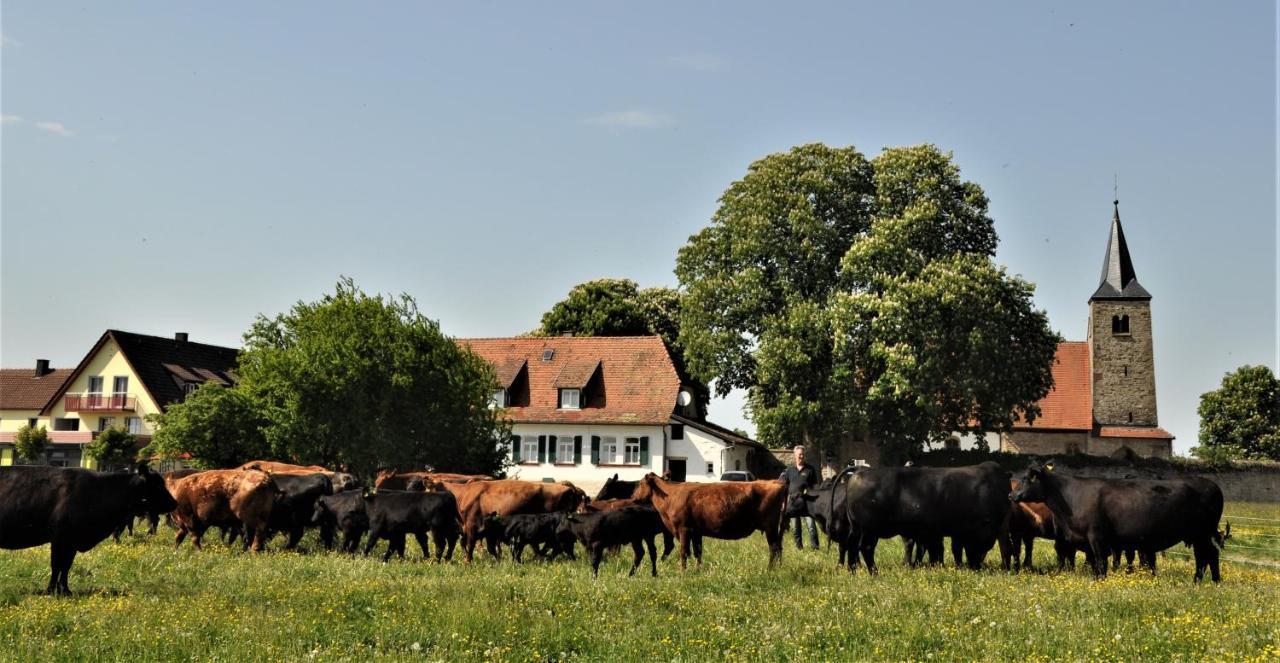Schaefer'S Ferienhof Michaelsberg Gundelsheim  Exterior foto