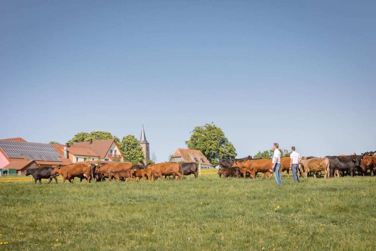 Schaefer'S Ferienhof Michaelsberg Gundelsheim  Exterior foto